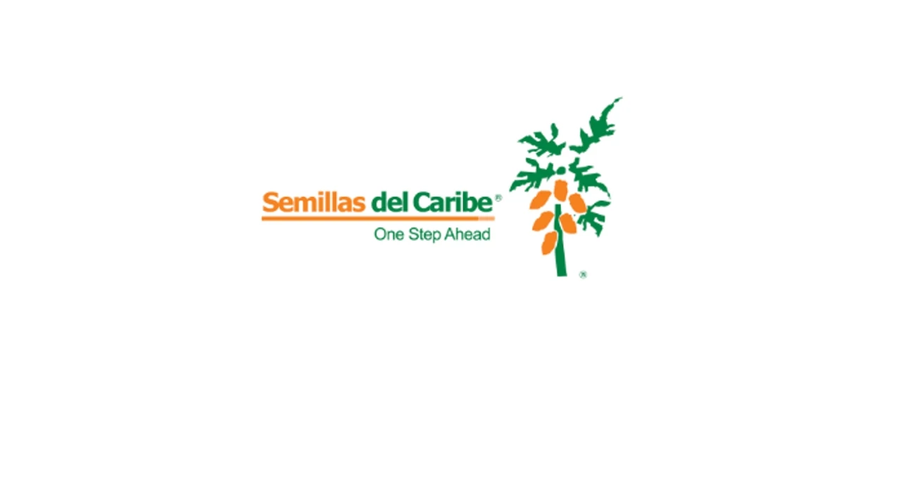 Semillas del caribe